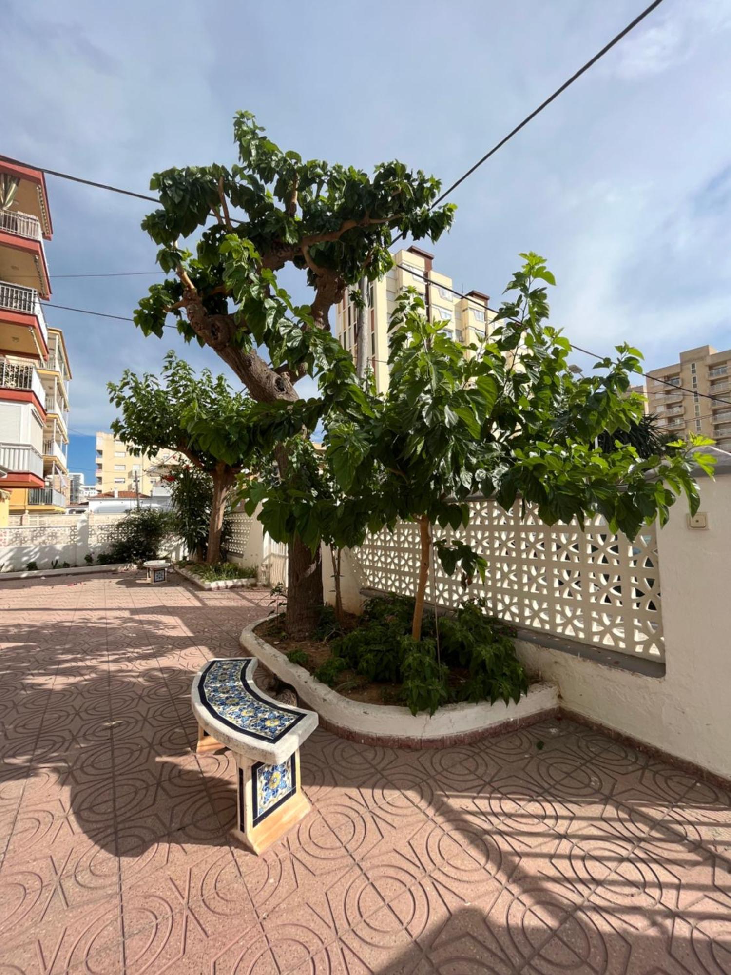 Rincon De Maria- Segunda Linea De Playa-Ganador Traveller Awards 2025 Lejlighed Playa de Gandia Eksteriør billede