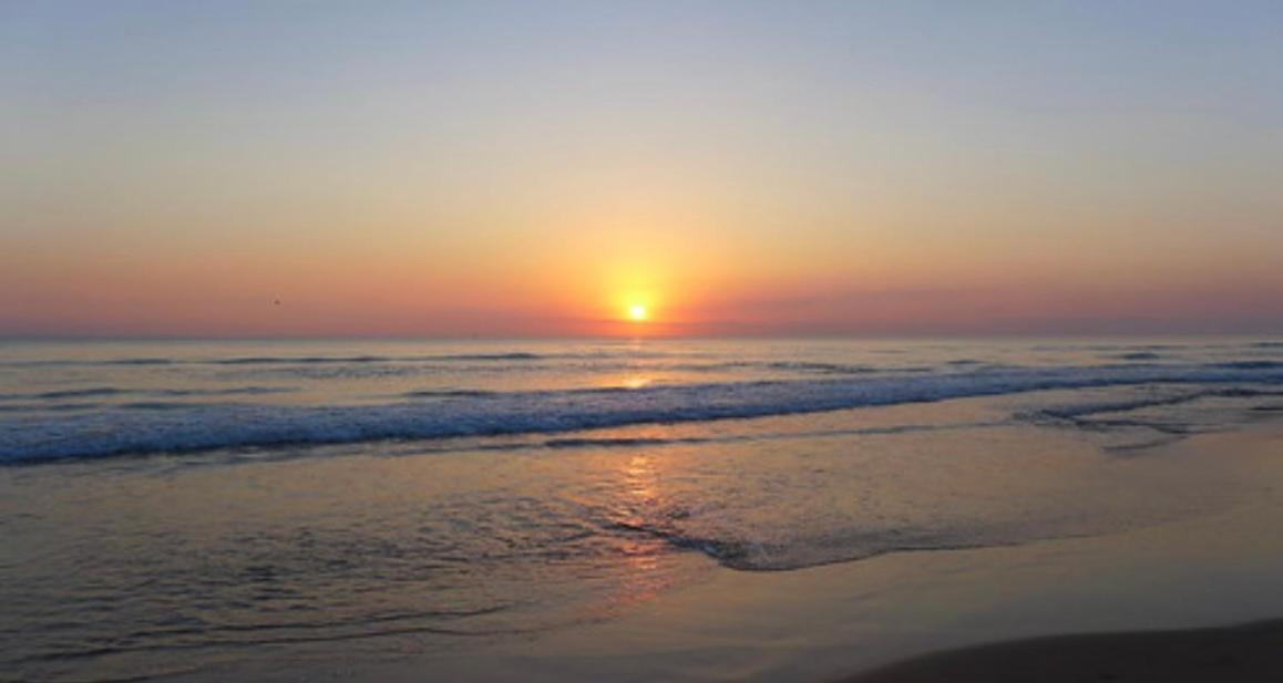 Rincon De Maria- Segunda Linea De Playa-Ganador Traveller Awards 2025 Lejlighed Playa de Gandia Eksteriør billede