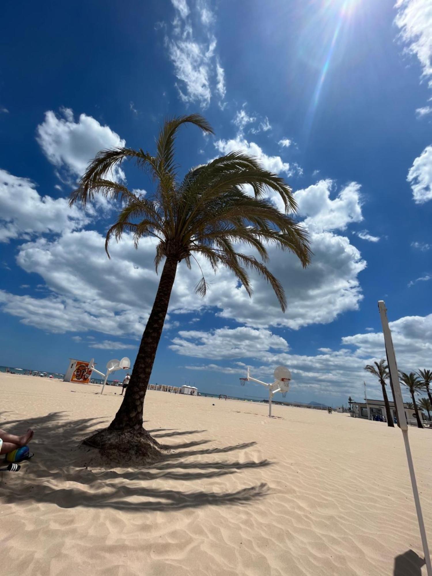 Rincon De Maria- Segunda Linea De Playa-Ganador Traveller Awards 2025 Lejlighed Playa de Gandia Eksteriør billede
